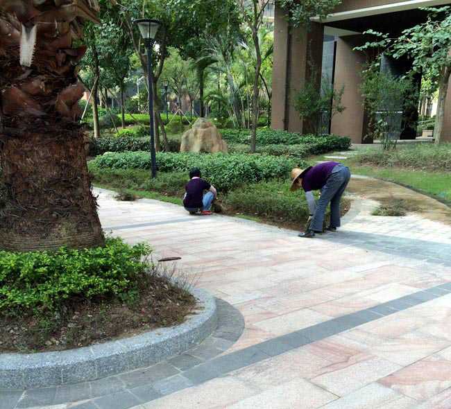 公園綠化養(yǎng)護